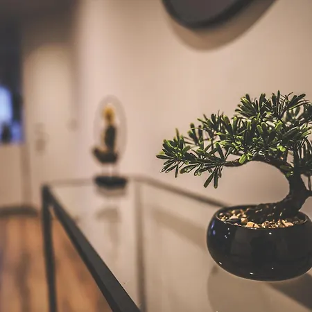 Moderne Mit Kochinsel In Zentral Ruhig Und Netflix - Erstbezug Wehome Komfort Apartment Sinsheim