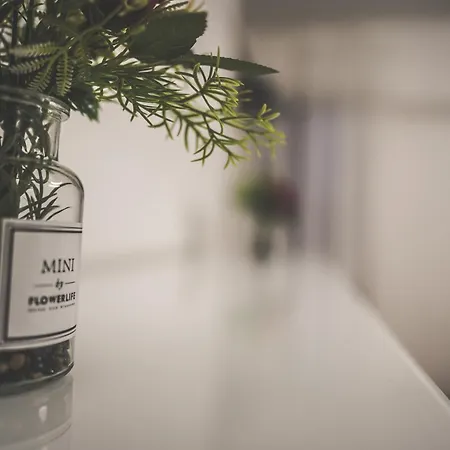 Apartment Moderne Mit Kochinsel In Zentral Ruhig Und Netflix - Erstbezug Wehome Komfort