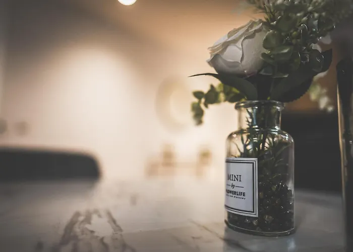 Apartamento Moderne Mit Kochinsel In Zentral Ruhig Und Netflix - Erstbezug Wehome Komfort *