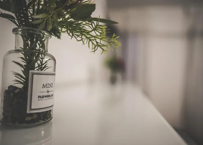 Apartamento Moderne Mit Kochinsel In Zentral Ruhig Und Netflix - Erstbezug Wehome Komfort